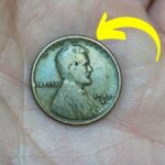 The Lincoln Wheat Penny Valued at $770K